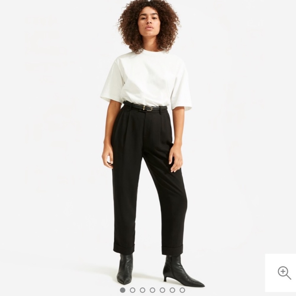 NWT Everlane put together pants sz 2 (r613)